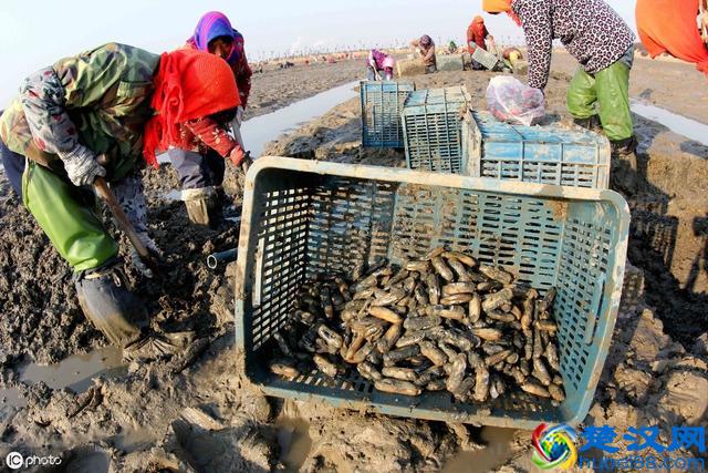 大学生创新创业小项目都有哪些？