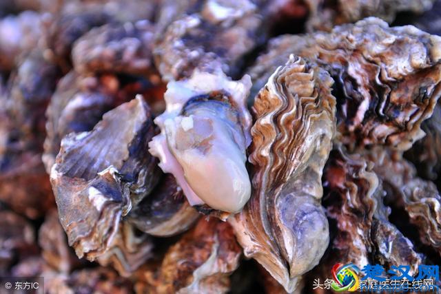 海蛎子对身体有什么好处？这一营养成分，含量超乎你想象