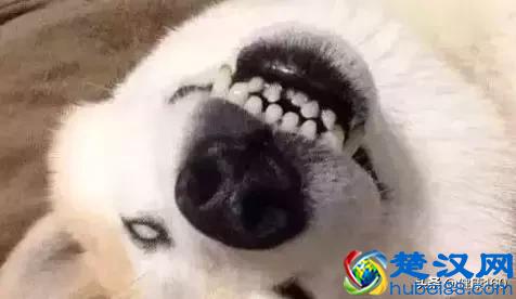 为什么会磨牙？罪魁祸首可能是这6个，4种方法可治