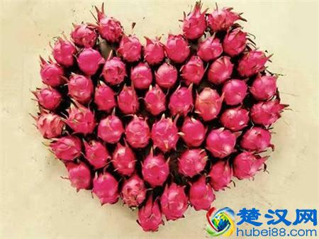 火龙果营养价值高，但医生却提醒我们：这3类人一口都不要多碰了