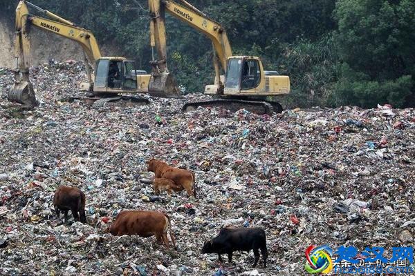 北京外卖不得主动提供一次性餐具 规定明年5月实施