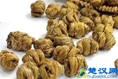 涨姿势：细说铁皮石斛的功效与作用