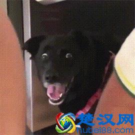 为什么会磨牙？罪魁祸首可能是这6个，4种方法可治