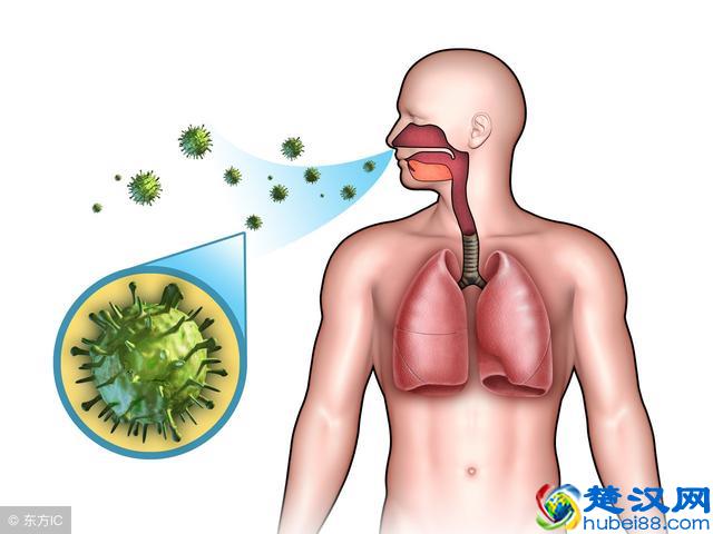 什么是支原体感染？涉及多个领域，一个都不能小瞧
