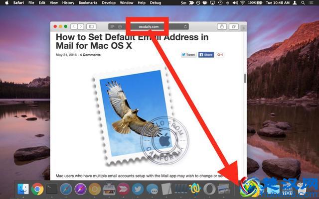 新手技巧：如何在Dock中添加网站快捷方式