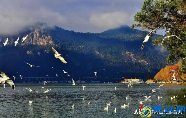 冬天最适合旅行的7个好地方，你最想去哪里？