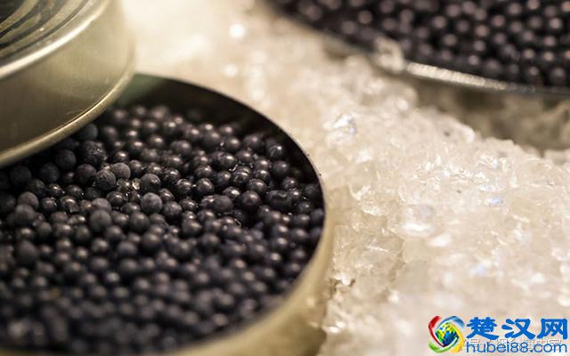 鱼子酱里的鱼子是哪种鱼产的?如此昂贵的鱼子酱到底是啥味道?