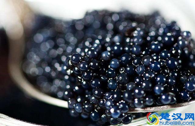 鱼子酱里的鱼子是哪种鱼产的?如此昂贵的鱼子酱到底是啥味道?