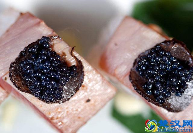 鱼子酱里的鱼子是哪种鱼产的?如此昂贵的鱼子酱到底是啥味道?