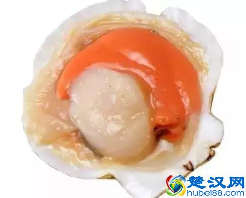 吃海鲜的常识和禁忌，你都知道吗？不收藏亏了！