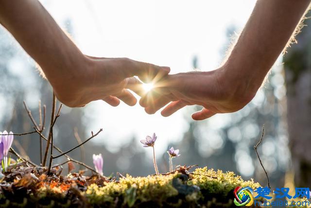 处女座和什么座最配？处女座和白羊座处理彼此矛盾的方法值得学习