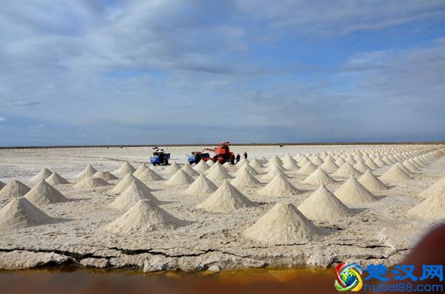 盐是怎么来的?看看这些你就知道了