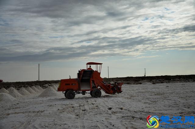 盐是怎么来的?看看这些你就知道了