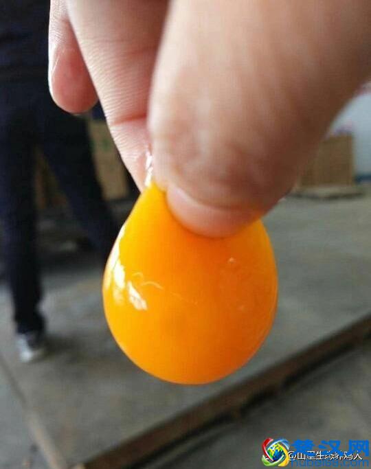 315打假土鸡蛋,真正的土鸡蛋到底该怎么选呢?总结几点教你鉴别