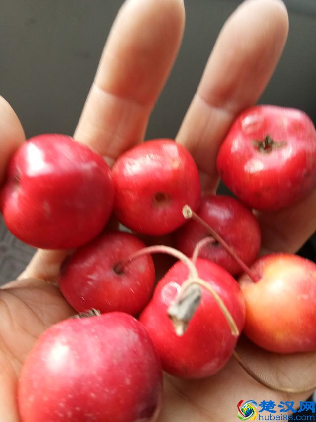 五岳之中最轻松爬上去的一座山,北岳恒山