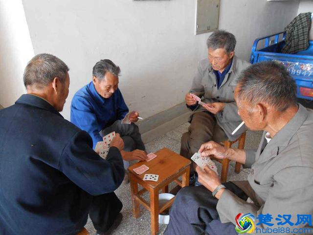 农村过去四害是老鼠麻雀,新四害比旧四害还要厉害,都是什么?