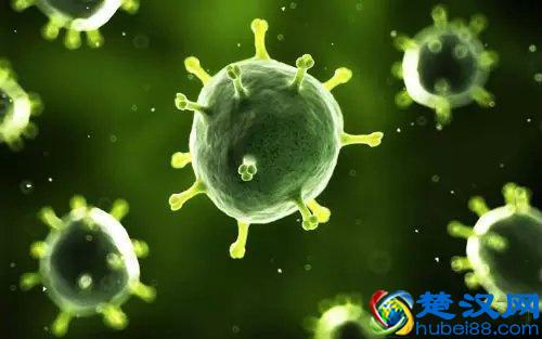 科学家首次找到活细胞“内部时钟”