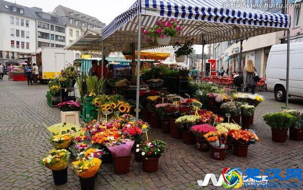 花店生意经，像他这样开鲜花店，你也可以年赚20万