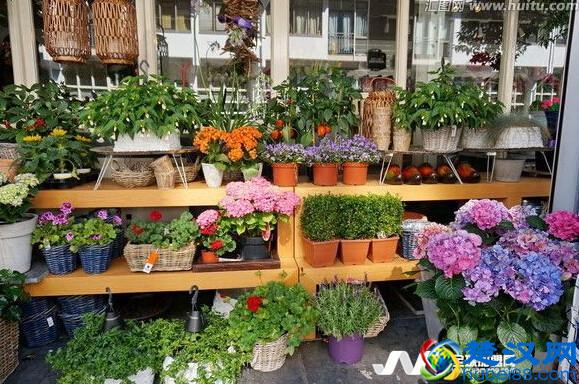 花店生意经，像他这样开鲜花店，你也可以年赚20万