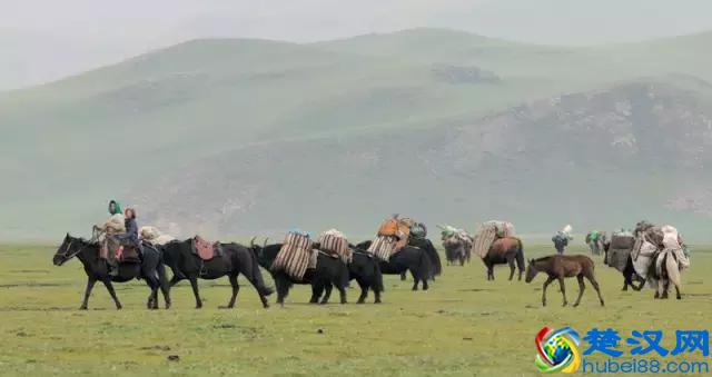 藏饰都很神秘？那是因为你根本都不了解这几件事情！