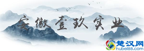 洗车盈利大揭秘:都开洗车店,凭什么有人年收入几千万?