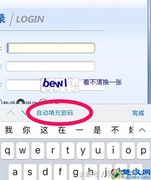 Safari不好用？会用Safari的几乎都不会这么说！