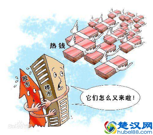 田金所：什么是热钱