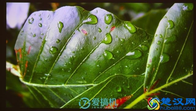 投影仪中的性价比之王！千元投影仪坚果极越A6使用评测