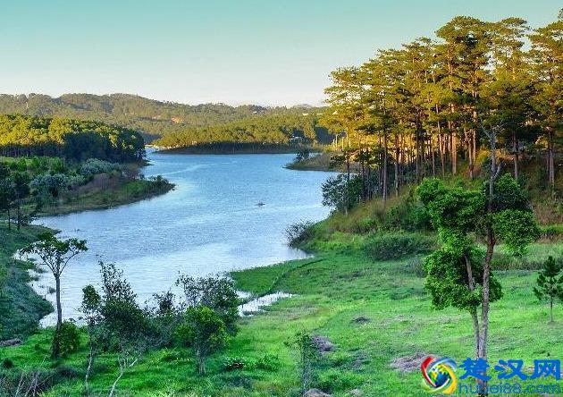 当下在农村投资这四个项目最赚钱！农村创业致富的四个好模式！