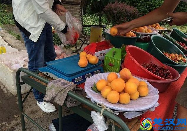 当下在农村投资这四个项目最赚钱！农村创业致富的四个好模式！