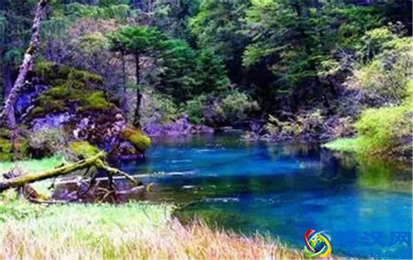 还在问什么时候去九寨沟最好，赶紧收藏吧！