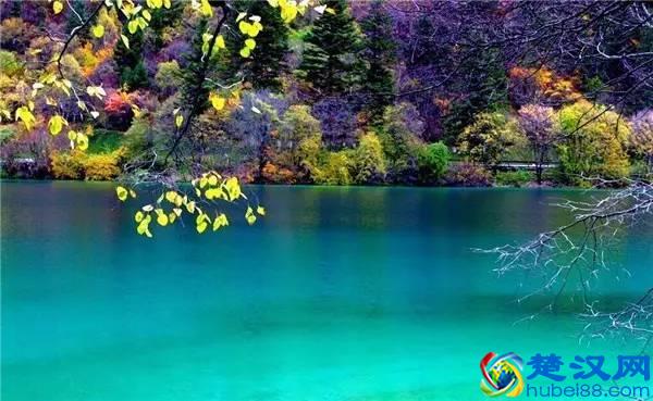 还在问什么时候去九寨沟最好，赶紧收藏吧！