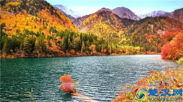 还在问什么时候去九寨沟最好，赶紧收藏吧！