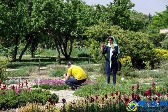 2019年，适合农村致富的6个小项目，不仅成本小，且回报高