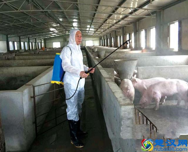 生石灰消毒是好东西，可是你知道怎么用吗？