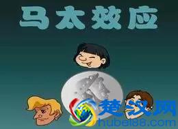 管理十大定律：马太效应，鲶鱼效应，水桶法则，墨菲定律