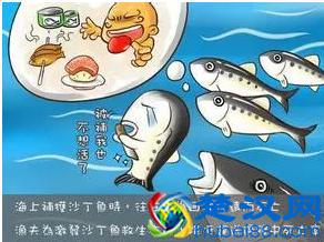 管理十大定律：马太效应，鲶鱼效应，水桶法则，墨菲定律