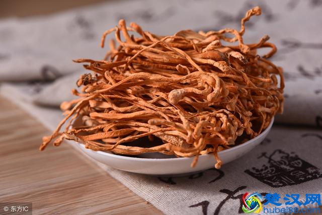 虫草花不是冬虫夏草，别傻傻分不清，但这3个好处可不差