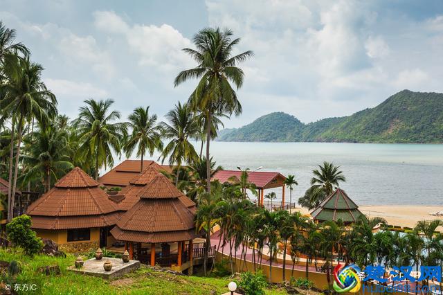 2019年，适合农村致富的6个小项目，不仅成本小，且回报高