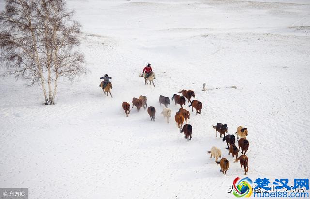 风一更，雪一更 关于冬天的绝美诗词