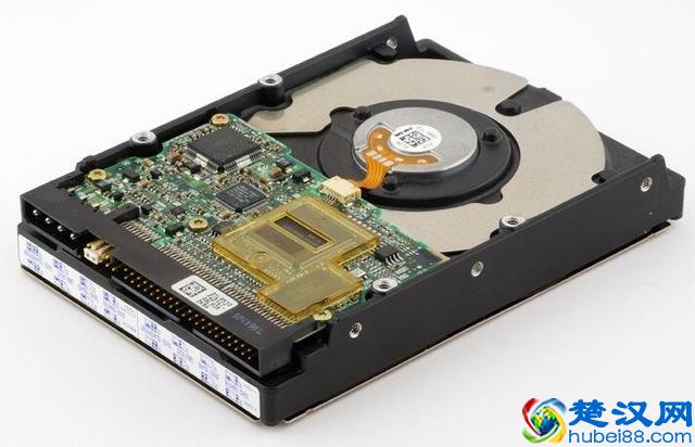 大学生校园创业，未出校门就已拥有百万资产