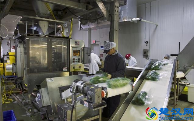 当下在农村投资这四个项目最赚钱！农村创业致富的四个好模式！