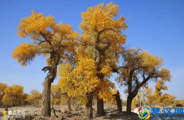 南疆—真正的西域风情！