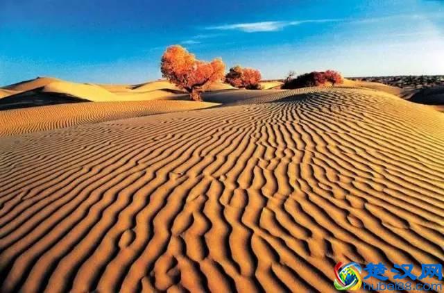 南疆—真正的西域风情！