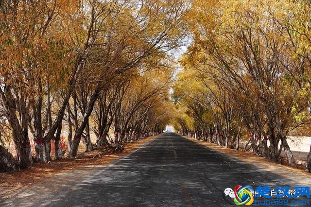 南疆—真正的西域风情！