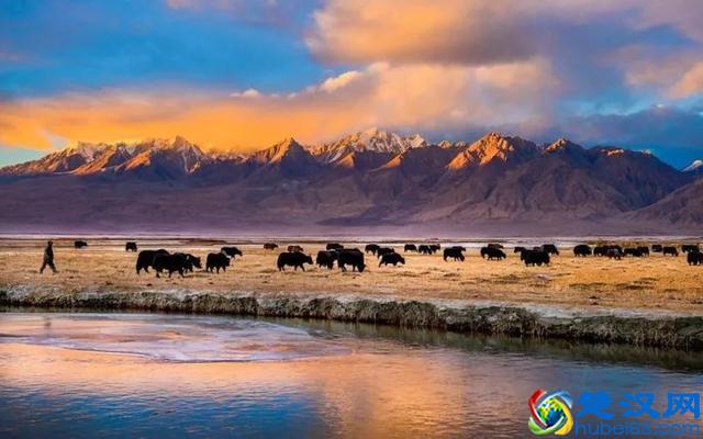 南疆—真正的西域风情！