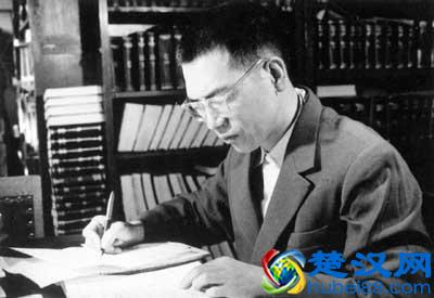 哥德巴赫猜想——陈景润为何最终没能完全解决？