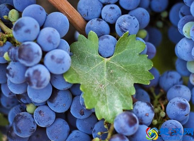 似水流年，转眼，我们已经人到中年