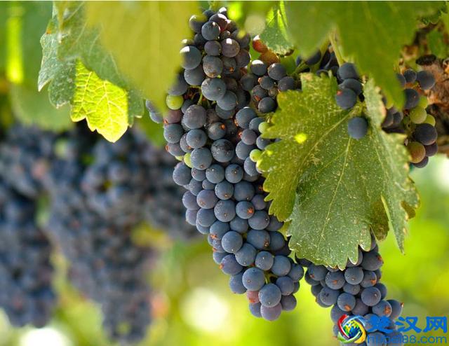 似水流年，转眼，我们已经人到中年