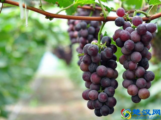 似水流年，转眼，我们已经人到中年